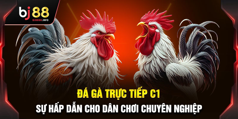 Đá gà trực tiếp C1