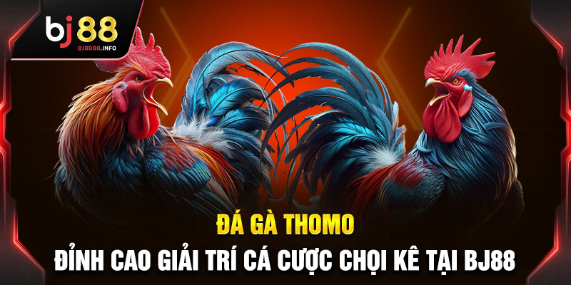 đá gà Thomo