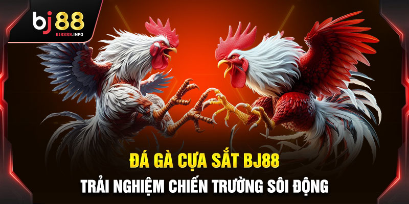 Đá Gà Cựa Sắt BJ88