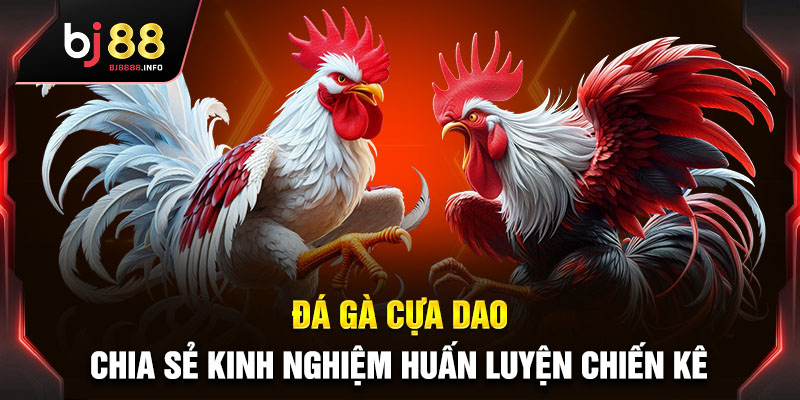 Đá Gà Cựa Dao