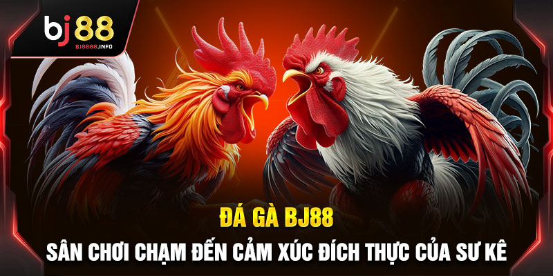 Thông tin sơ lược về sảnh đá gà BJ88 siêu kịch tính