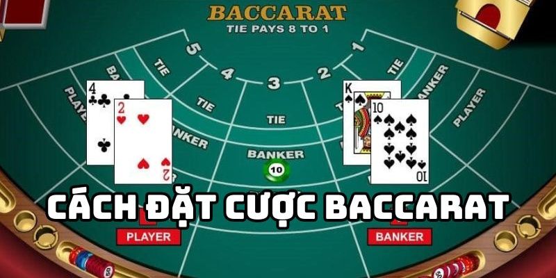 Cách chơi Baccarat theo dạng luân phiên