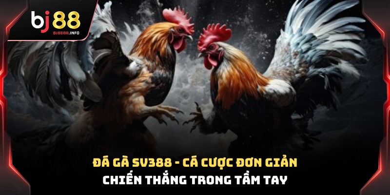 Đá gà SV388