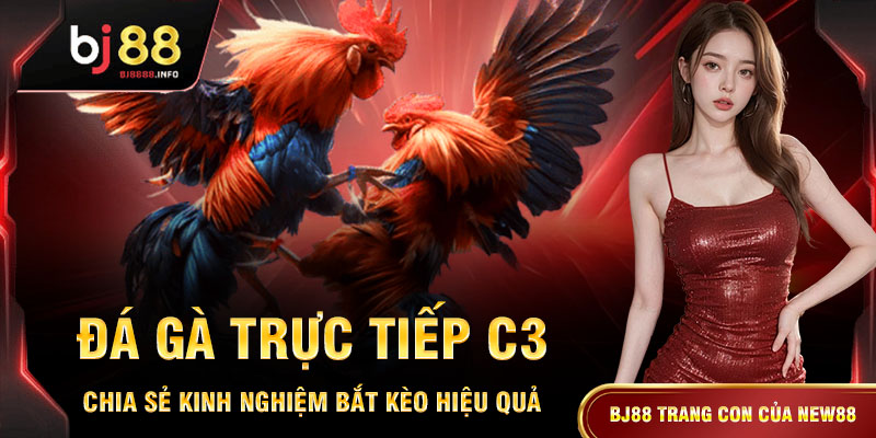 Đá Gà Trực Tiếp C3