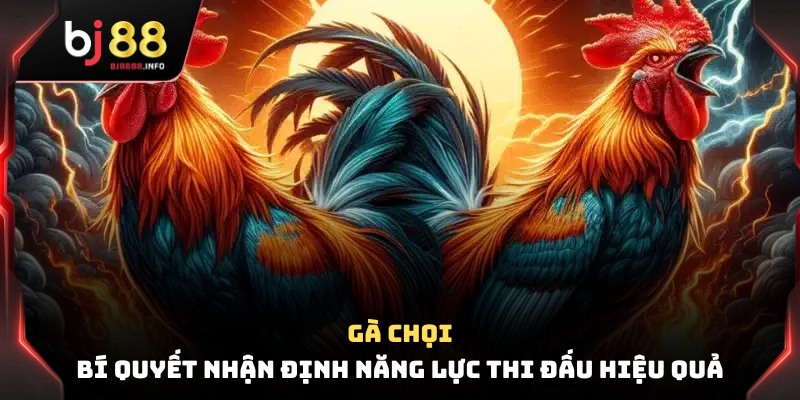 Gà Chọi