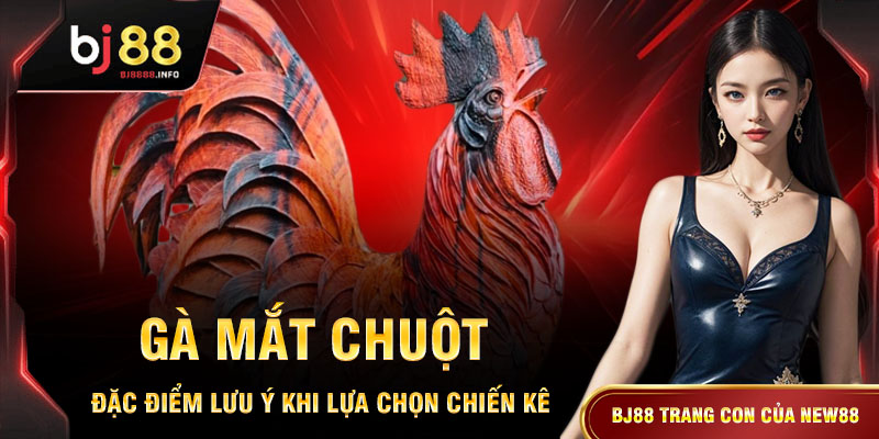 Gà Mắt Chuột