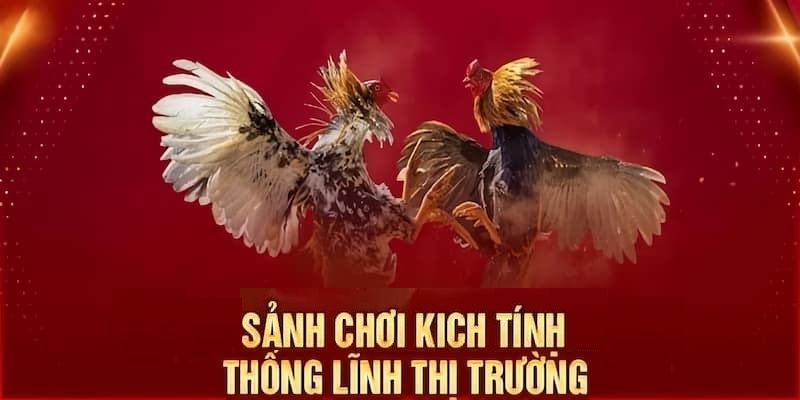 Luật lệ tham gia sảnh WS168