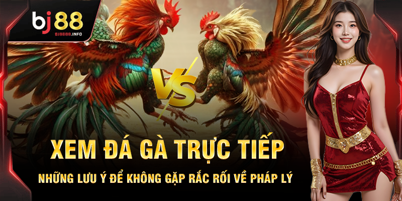 Xem Đá Gà Trực Tiếp BJ88