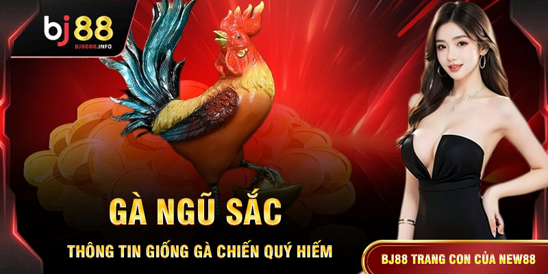 Gà Ngũ Sắc