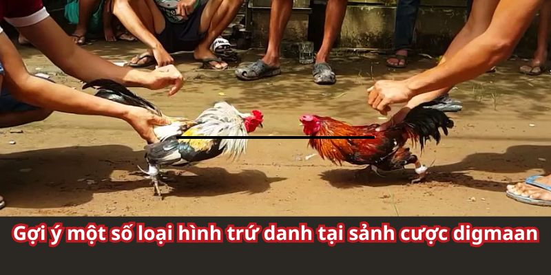 Gợi ý một số loại hình trứ danh tại sảnh digmaan